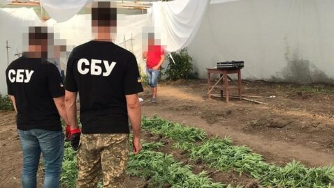 В зоне ООС экс-доброволец и уголовник организовали лабораторию по производству «элитных сортов марихуаны»
