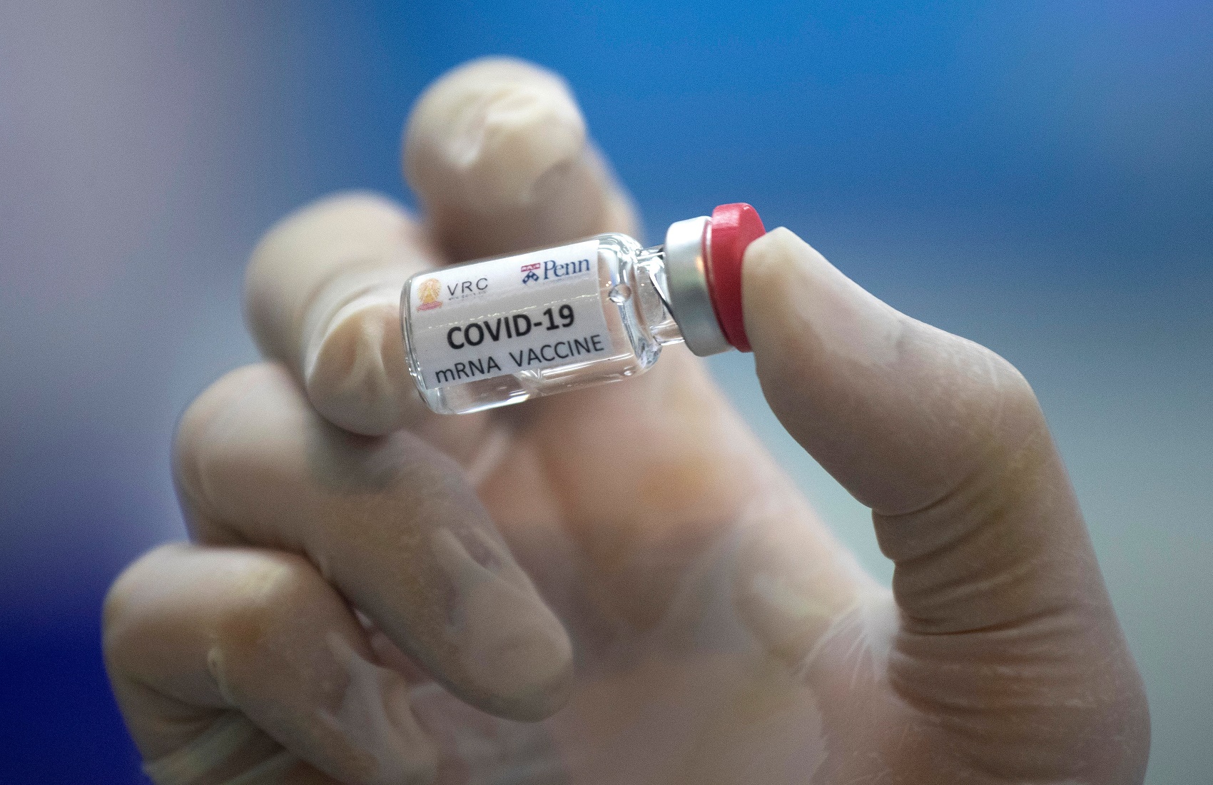 В Академии наук пояснили, почему не будет украинской вакцины от COVID-19