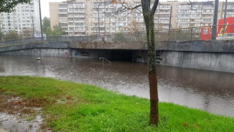 В Киеве из-за ливня затоплено несколько улиц (видео)