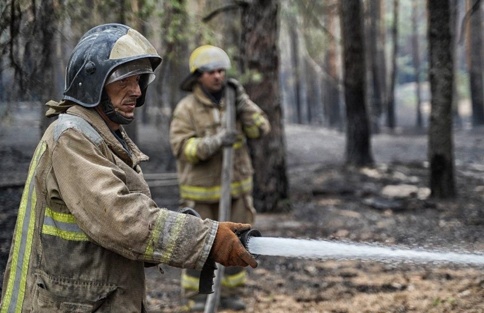 Пожары в Луганской области: спасатели ликвидировали половину очагов
