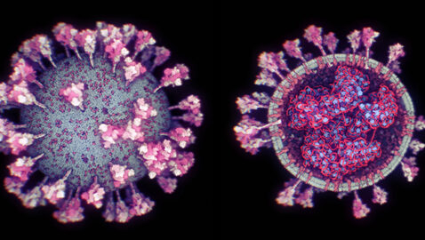 Ученые создали самую точную 3D-модель коронавируса
