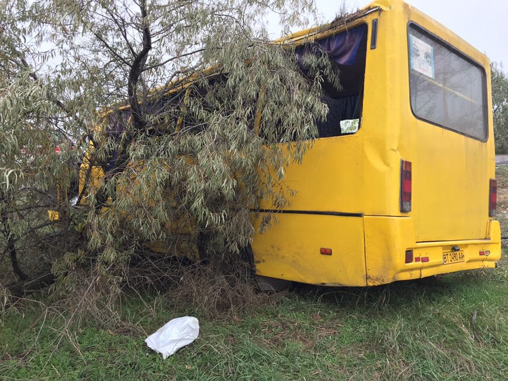 Под Херсоном перевернулся автобус с пассажирами: двое погибших - 3 - изображение