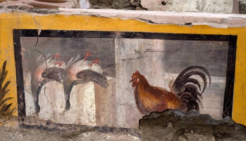 Археологи нашли в Помпеях торговую лавку с остатками пищи - 1 - изображение