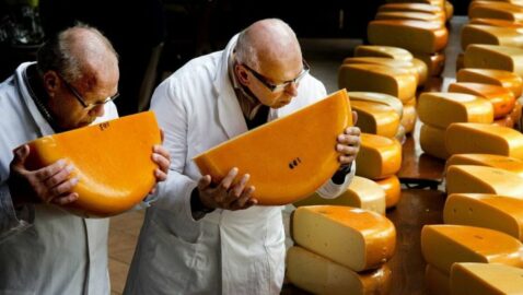 Украинские молокозаводы оштрафованы на 111,5 млн гривен за подделку масла и сыра