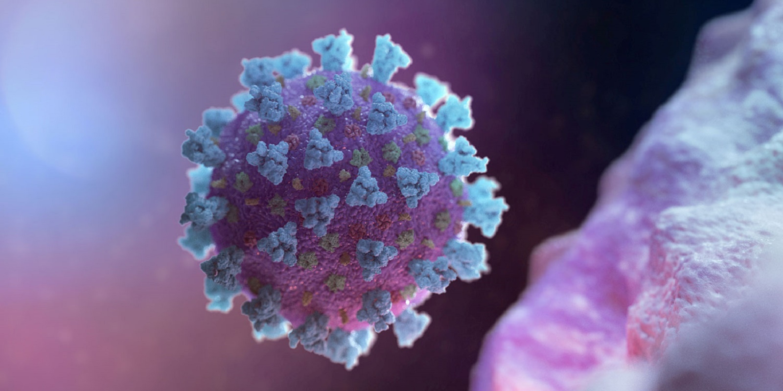 В Великобритании найден новый штамм коронавируса