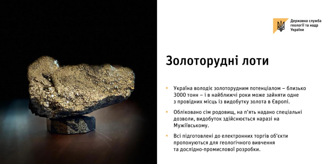 В Госгеонедрах оценили золоторудный потенциал Украины - 1 - изображение