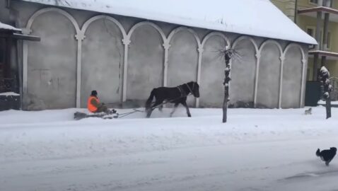 На Львовщине мужчина убирал снег с помощью коня (видео)