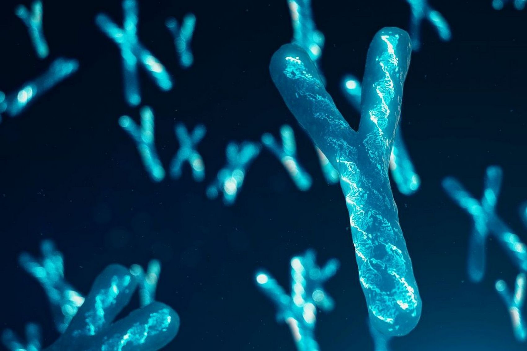 50 chromosome. Хромосома. Хромосомы фото. ДНК И хромосомы. Генные мутации картинки.