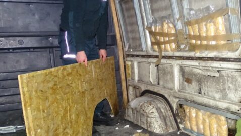 На границе с Польшей обнаружили около 30 кг контрабандного янтаря из Украины