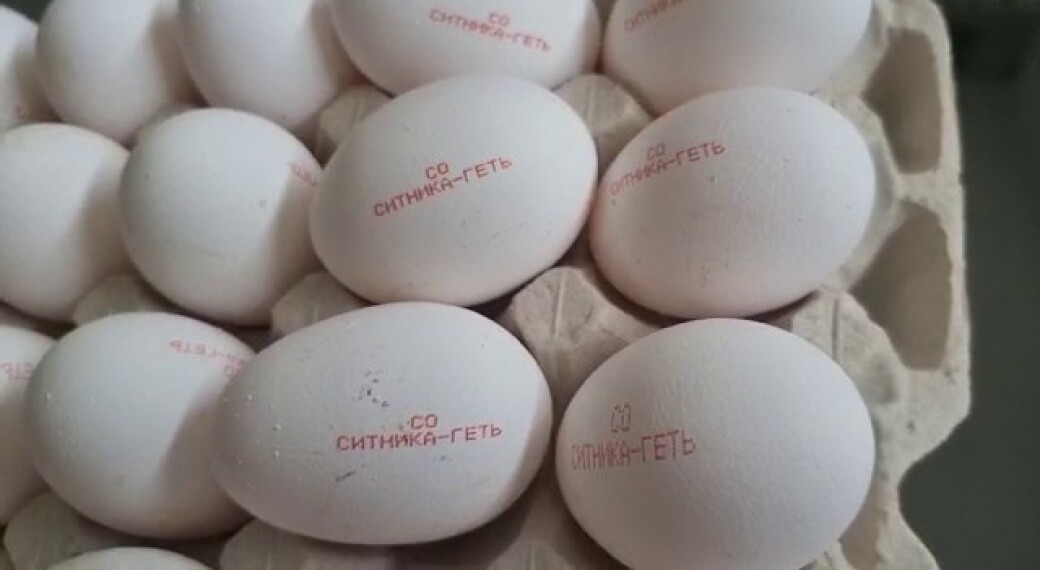 Агрохолдинг выпустит миллиард яиц с надписью «Ситника геть»