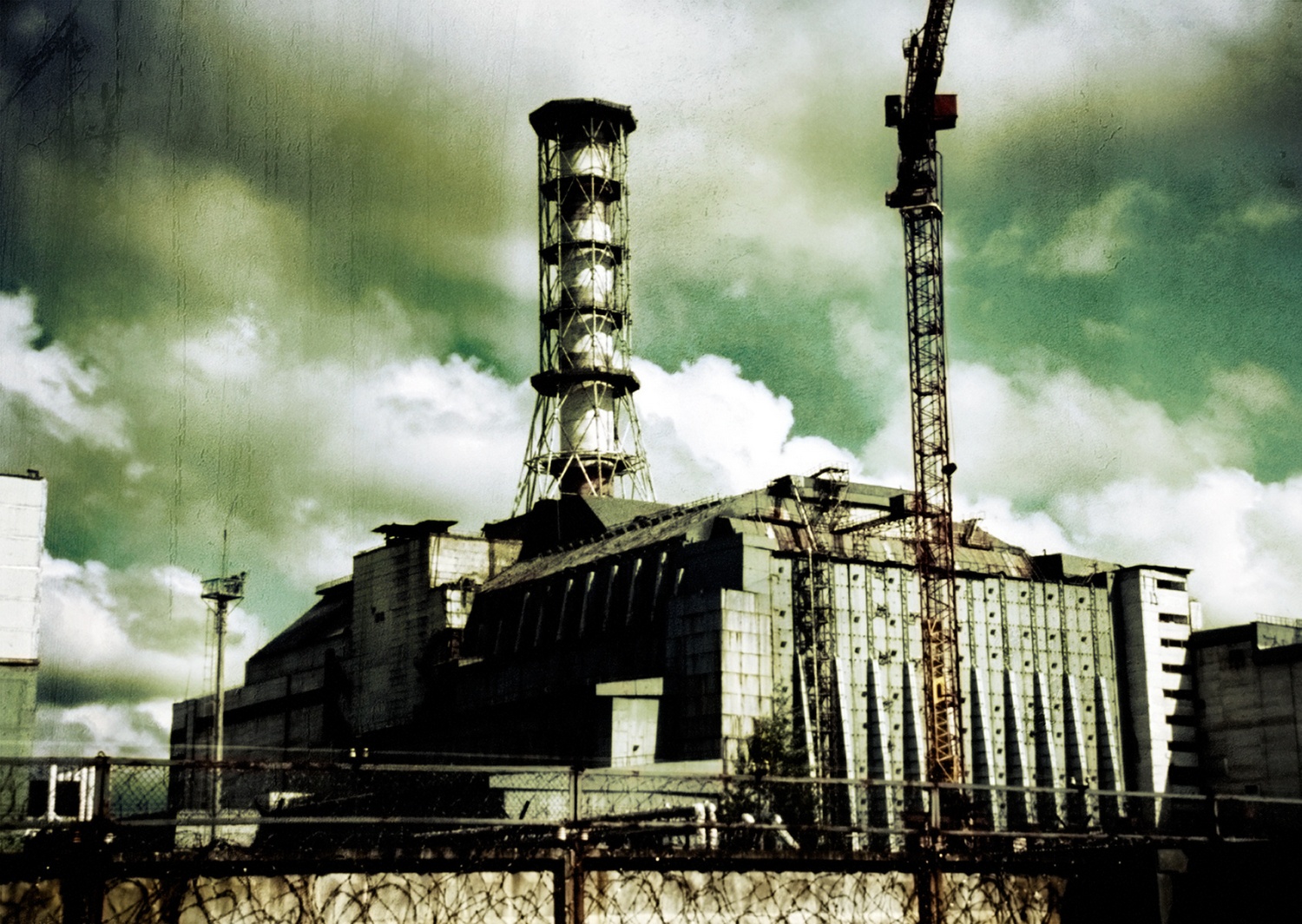 Чернобыль 35 лет спустя: настоящее и будущее природы зоны отчуждения