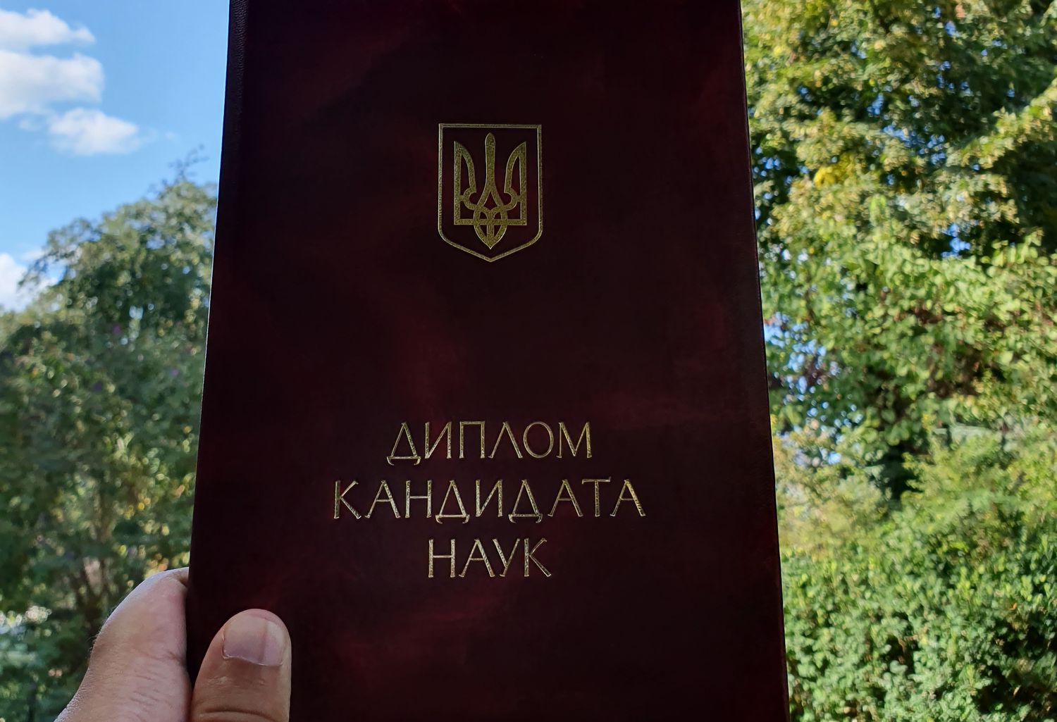 Диплом за 5 месяцев, 90% плагиата и «Лептонный „Бог”»: ТОП фейковых дипломов и диссертаций украинских политиков