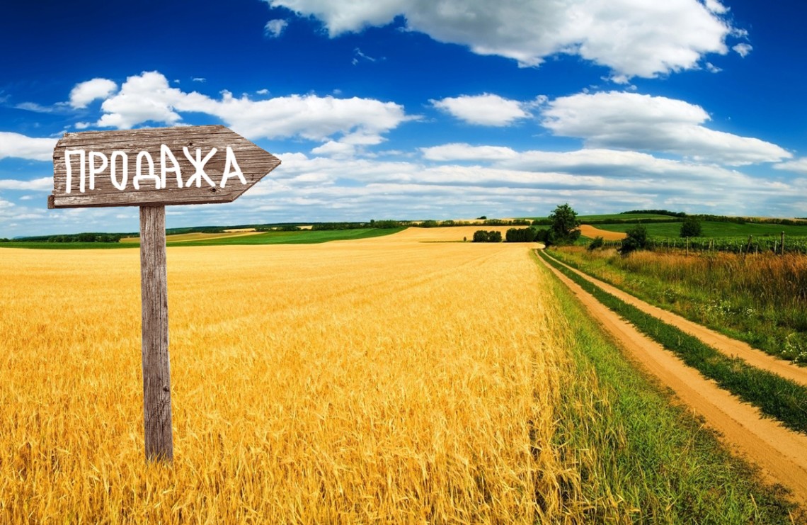 Рынок земли: чего ждать украинцам уже этим летом