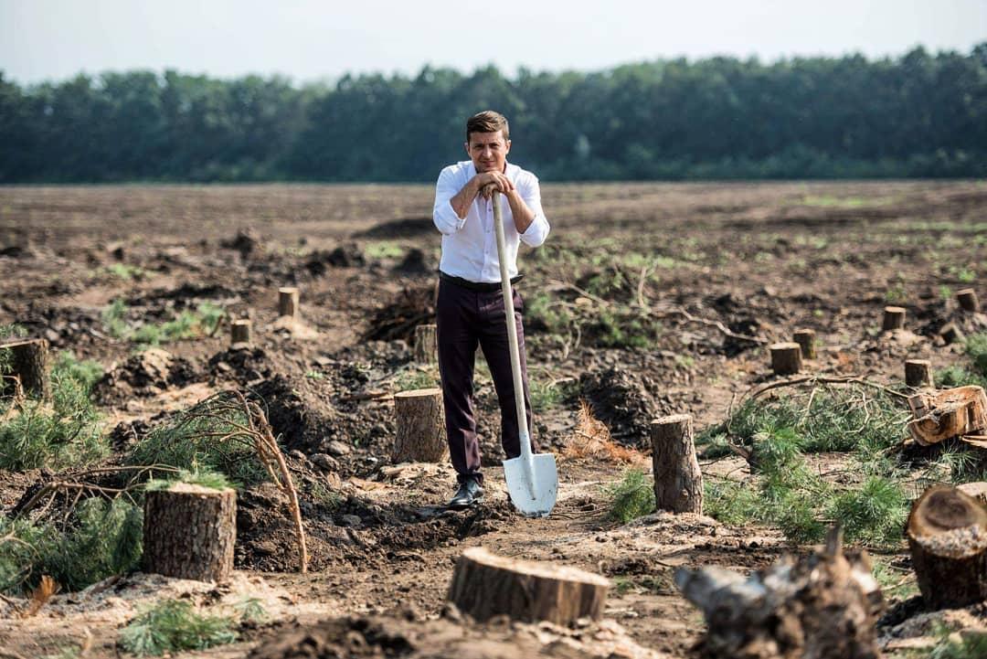 Зеленский планирует посадить в Украине 1 млрд деревьев за три года