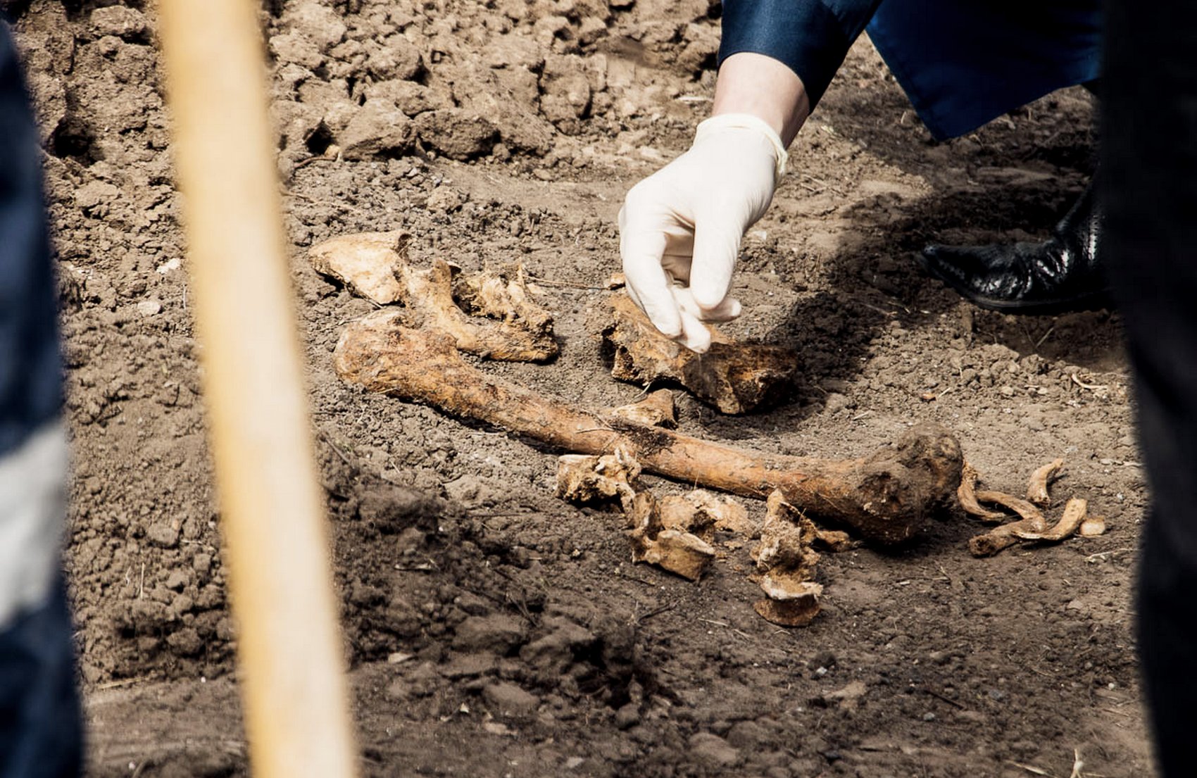 В Киеве около телецентра нашли закопанные человеческие останки