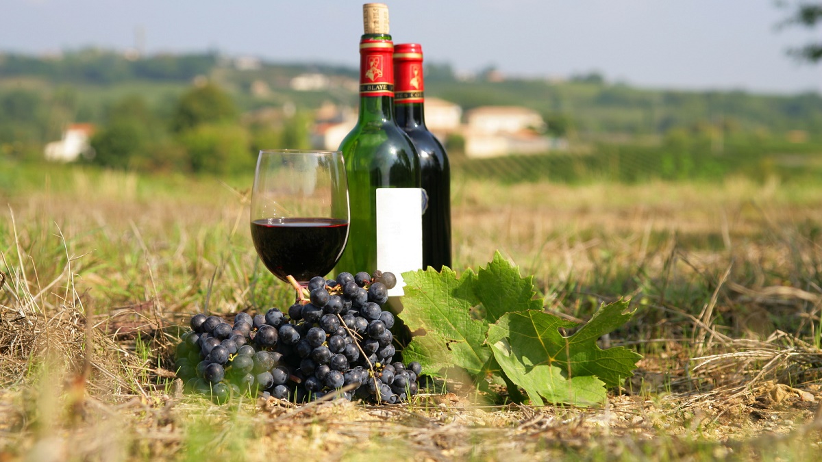 Французские виноделы возмутились из-за закона о шампанском в РФ