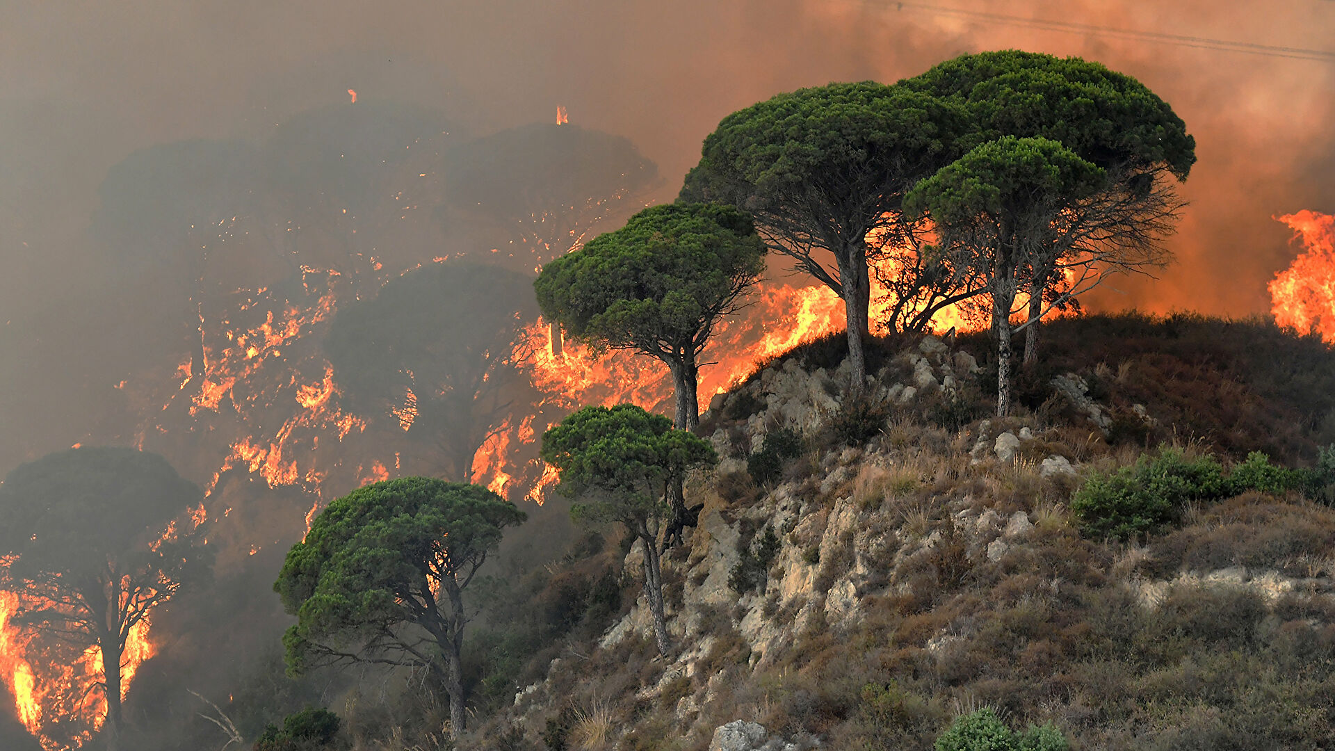 В Италии из-за пожаров погибли люди