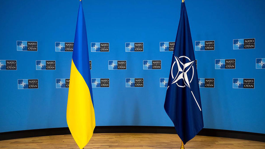 Представитель НАТО рассказал, возможно ли членство Украины в альянсе во время конфликта на Донбассе