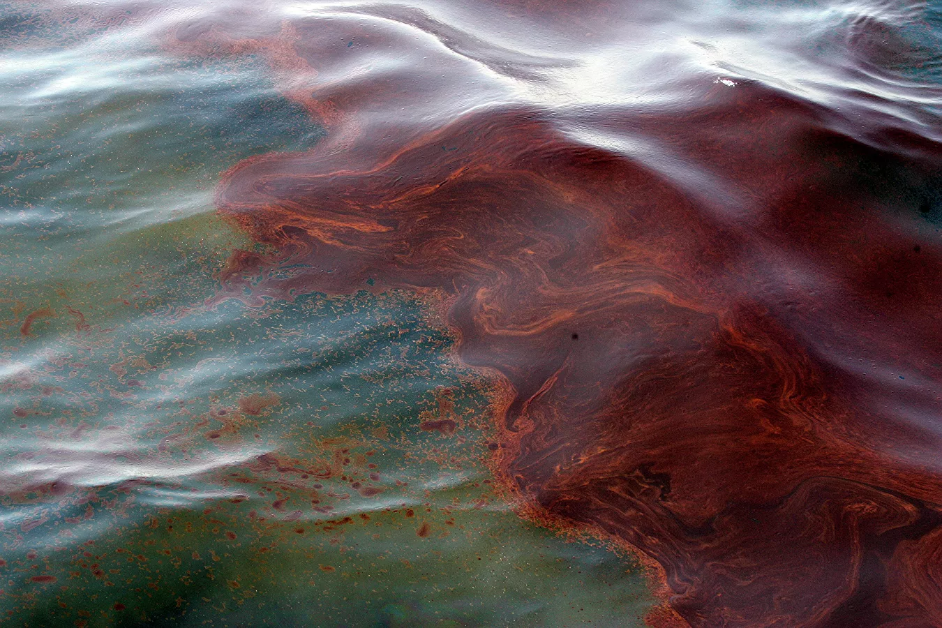 Выброс в Черное море: чем огромное нефтяное пятно угрожает акватории и каковы последствия аварии у Новороссийска