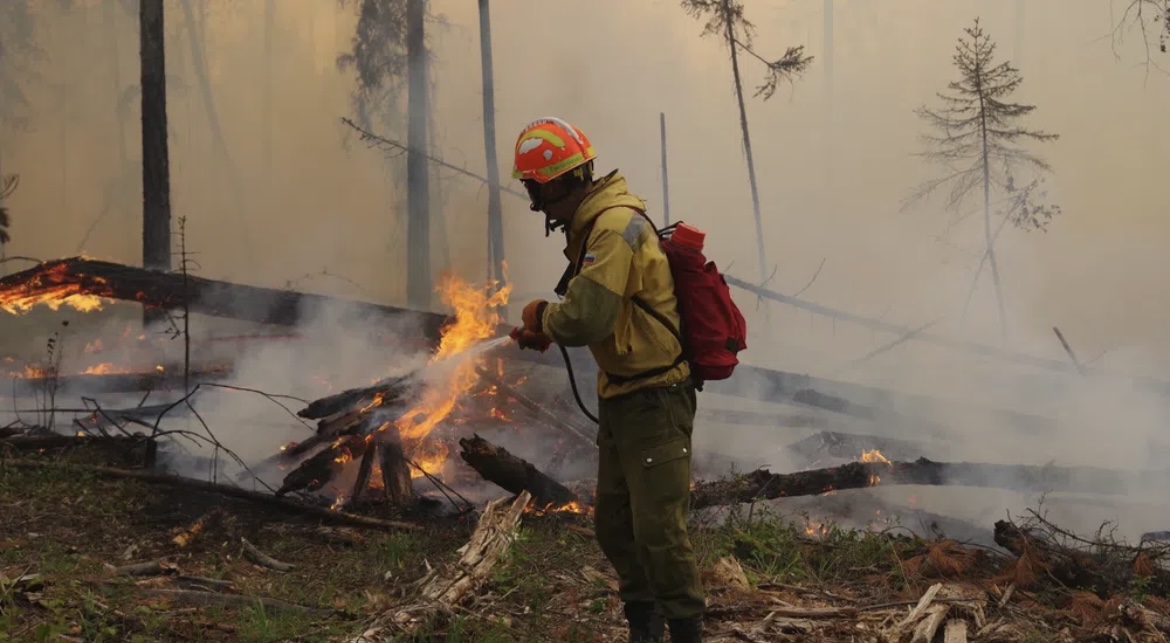 В России горит 1,5 миллиона га леса (фото)