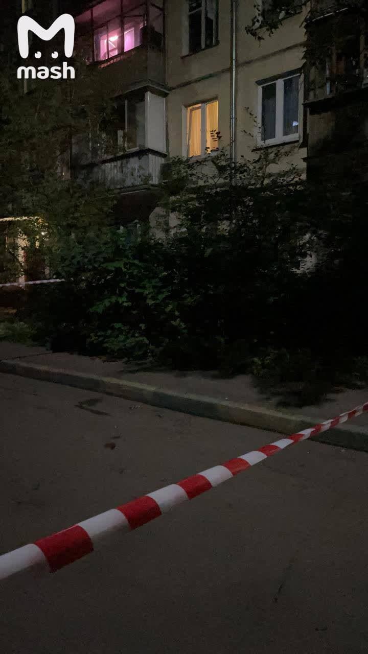 В Москве отец выкинул ребенка с пятого этажа (фото) - 2 - изображение