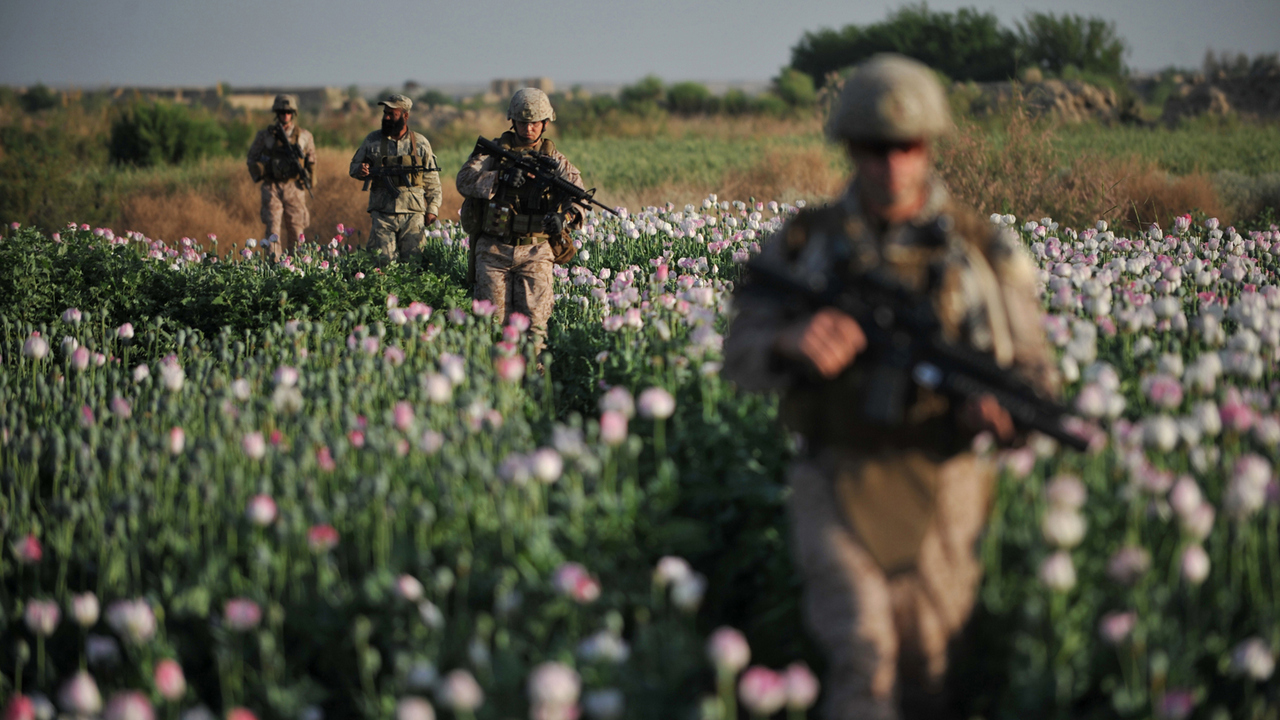 Триллионы на войну и опий: во сколько США обошлась афганская кампания и что они оставили после себя