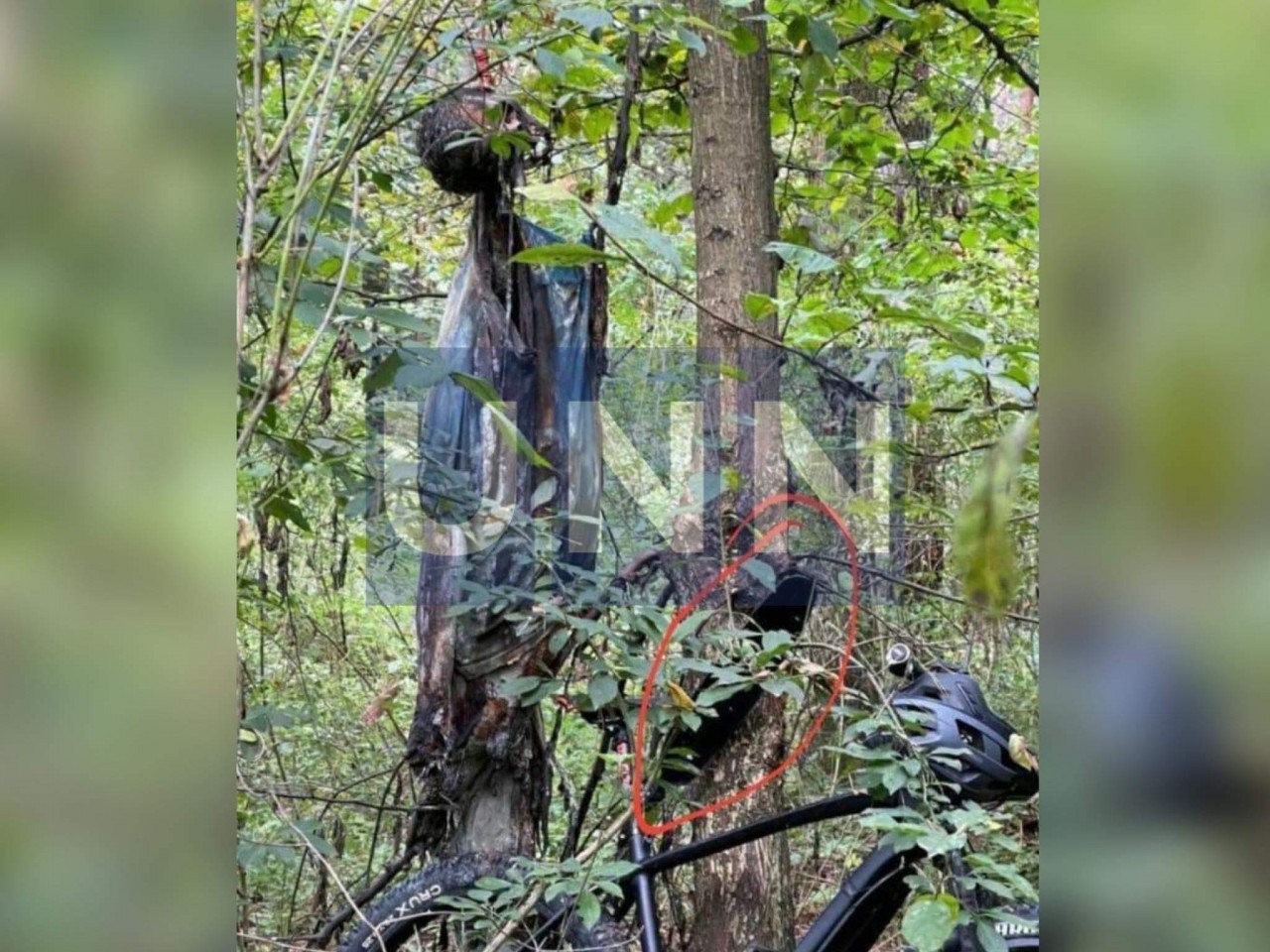 В лесу недалеко от места покушения на Шефира обнаружили труп мужчины (фото 18+)