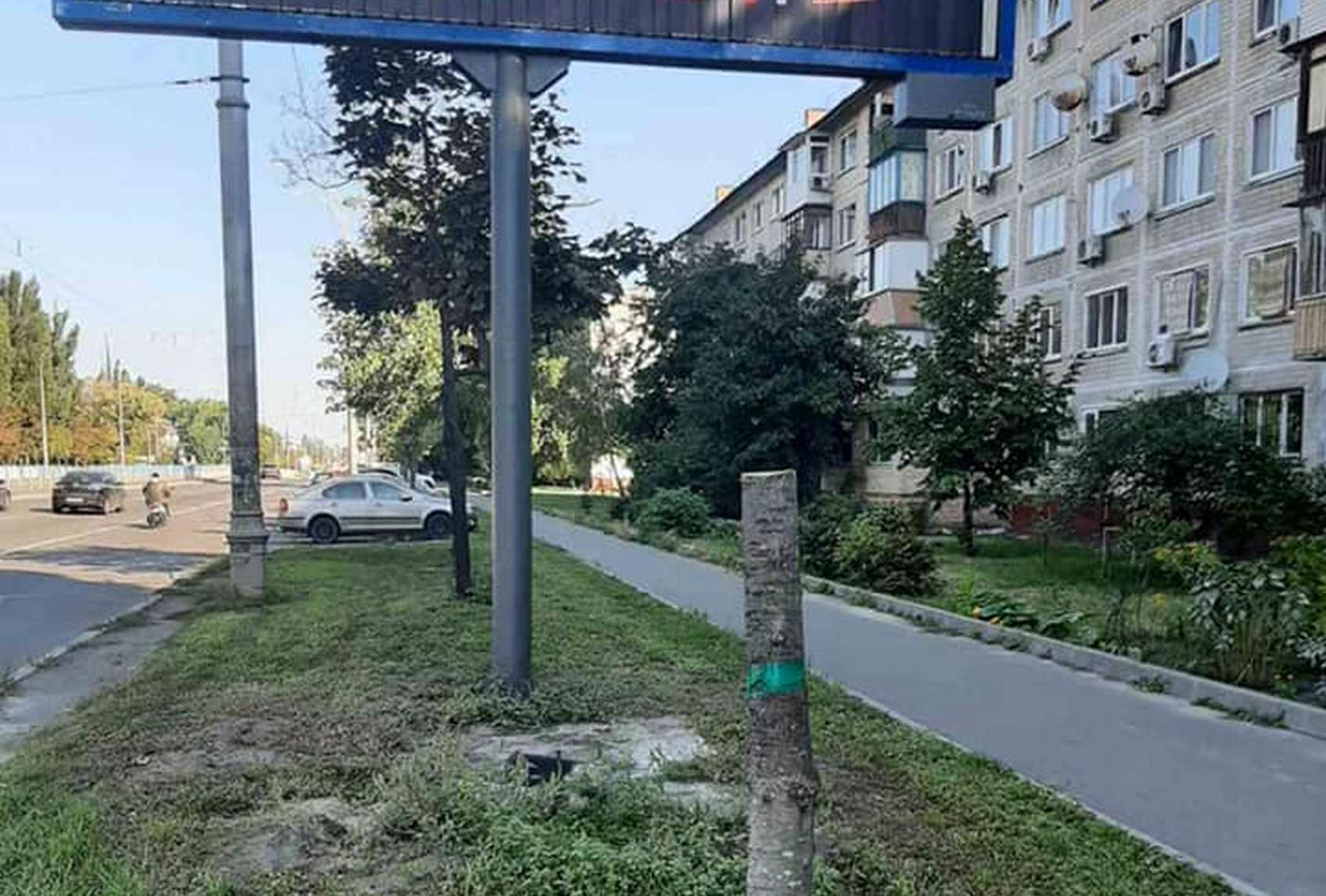 В Киеве ради рекламных билбордов спилили верхушки деревьев (фото)