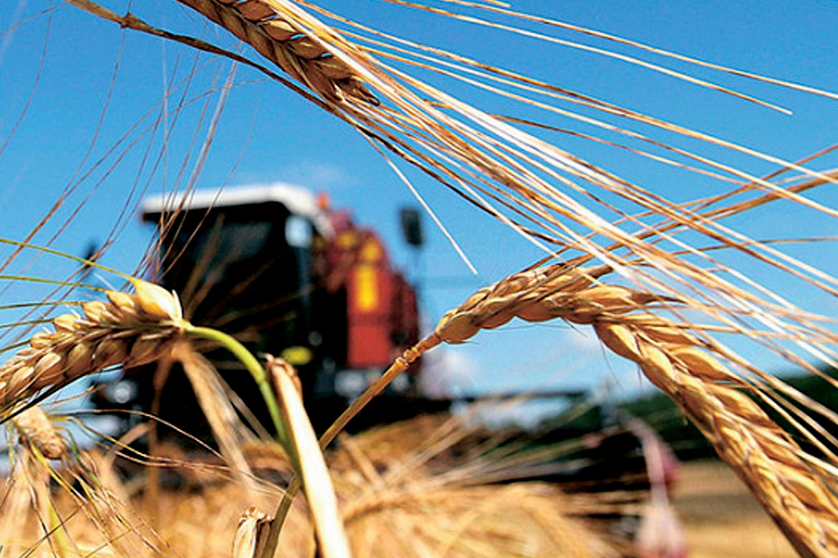 В Украине собран рекордный урожай зерна