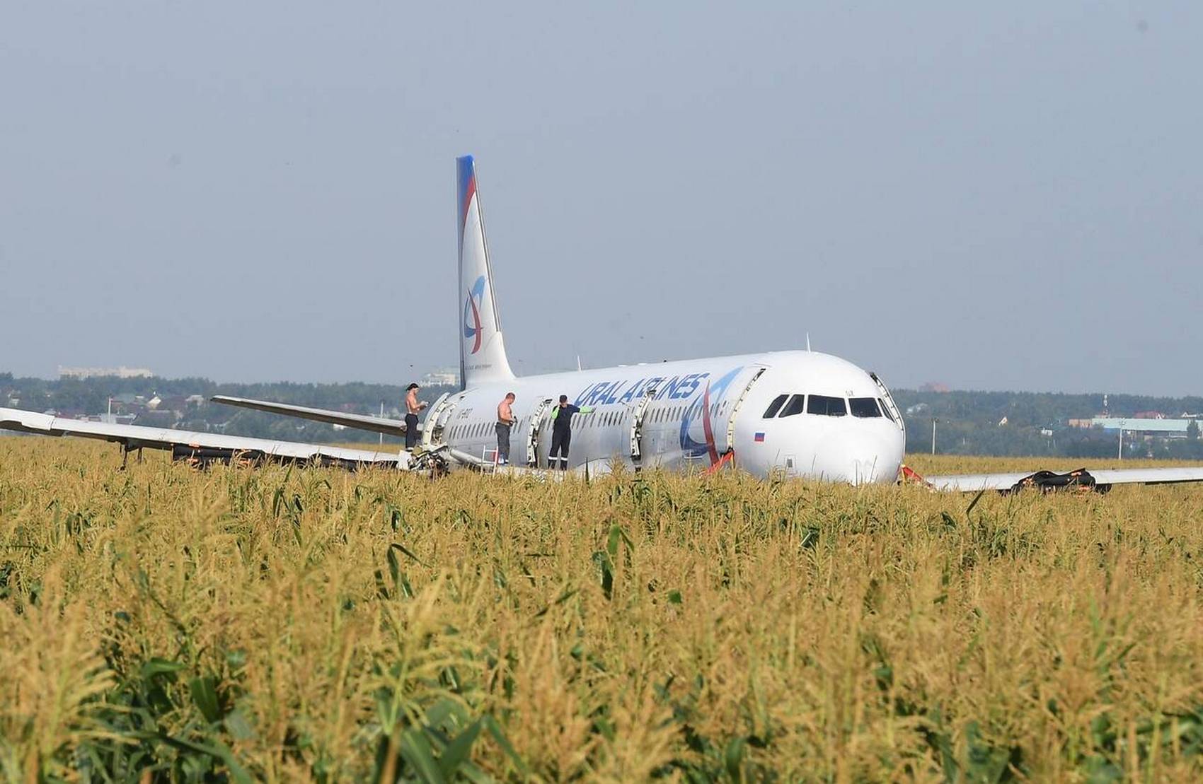 В РФ снимут художественный фильм о лётчиках, посадивших самолёт на поле кукурузы