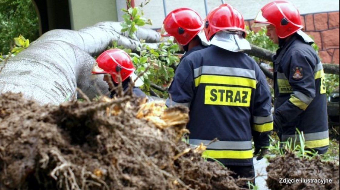 В Польше из-за урагана погибли 4 человека, в том числе украинец