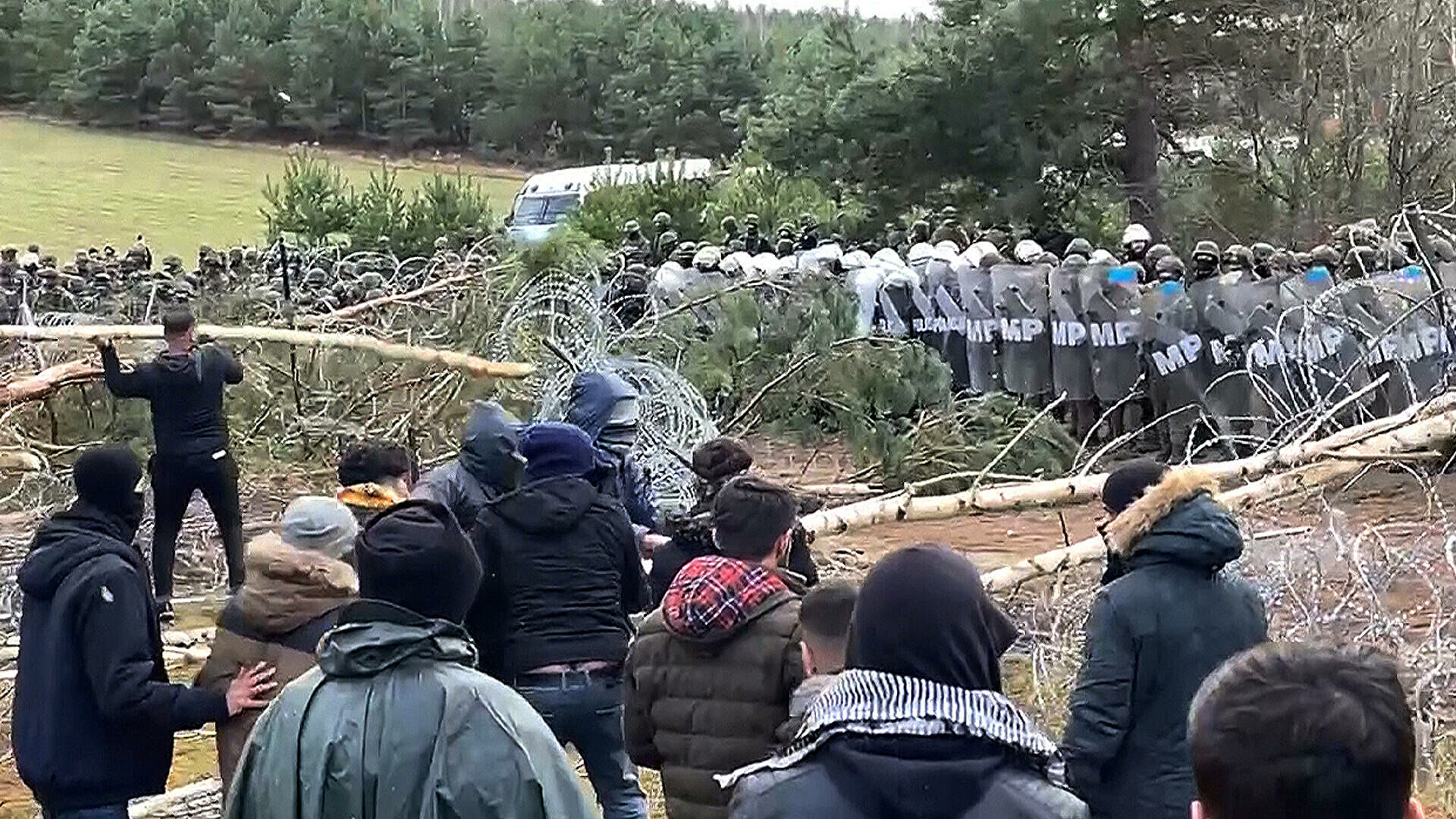 Группа мигрантов прорвалась в Польшу из Беларуси (видео)
