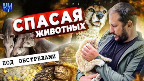 Спасая Харьковский Экопарк: Как украинцы под пулями увозили животных